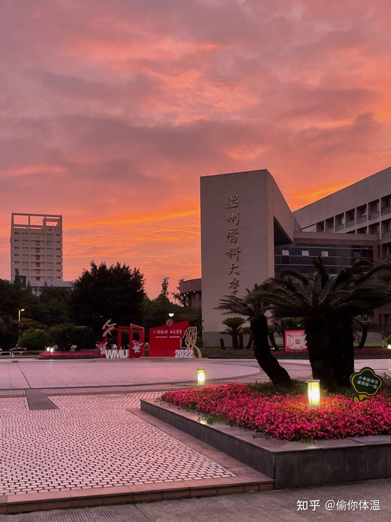 温州大学的专业选择丰富多样,涵盖了理、工、农、医等多个领域。今天我们就来深度剖析一下其中的热门专业——机械工程。